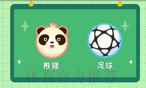 《熊猫说球》第九集：比赛开始与恢复，比赛进行与停止